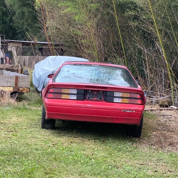 Meet your Posher, Trish - Picture 3 of 11